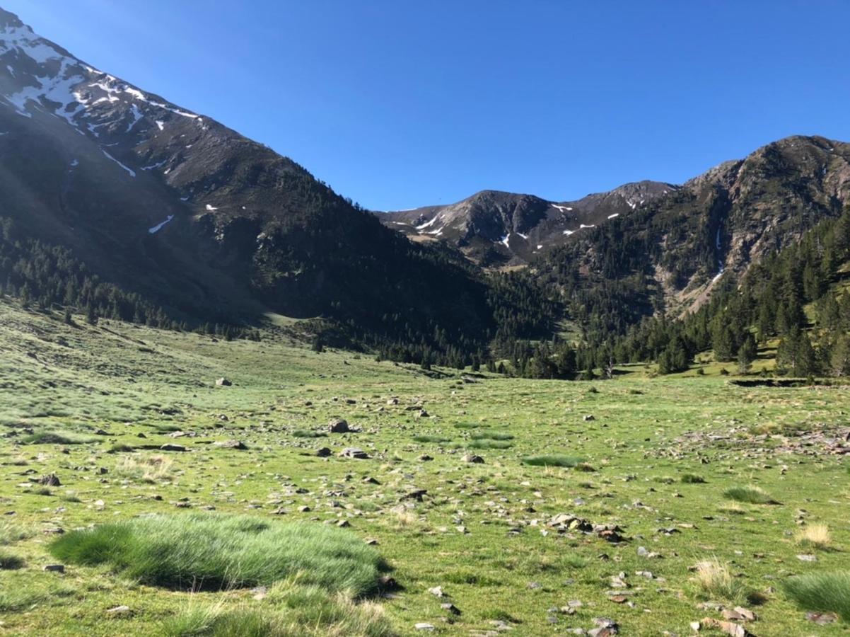 Hostal Pirineos Meliz Bielsa Kültér fotó